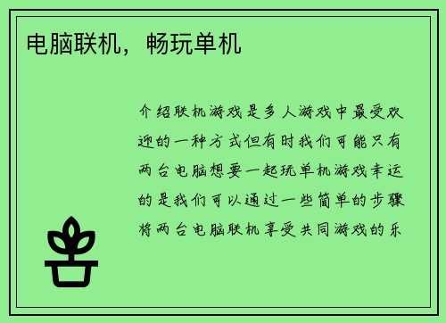 电脑联机，畅玩单机