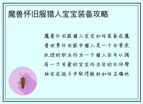 魔兽怀旧服猎人宝宝装备攻略